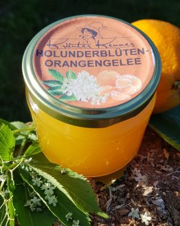 Holunder-Orangengelee (1)
