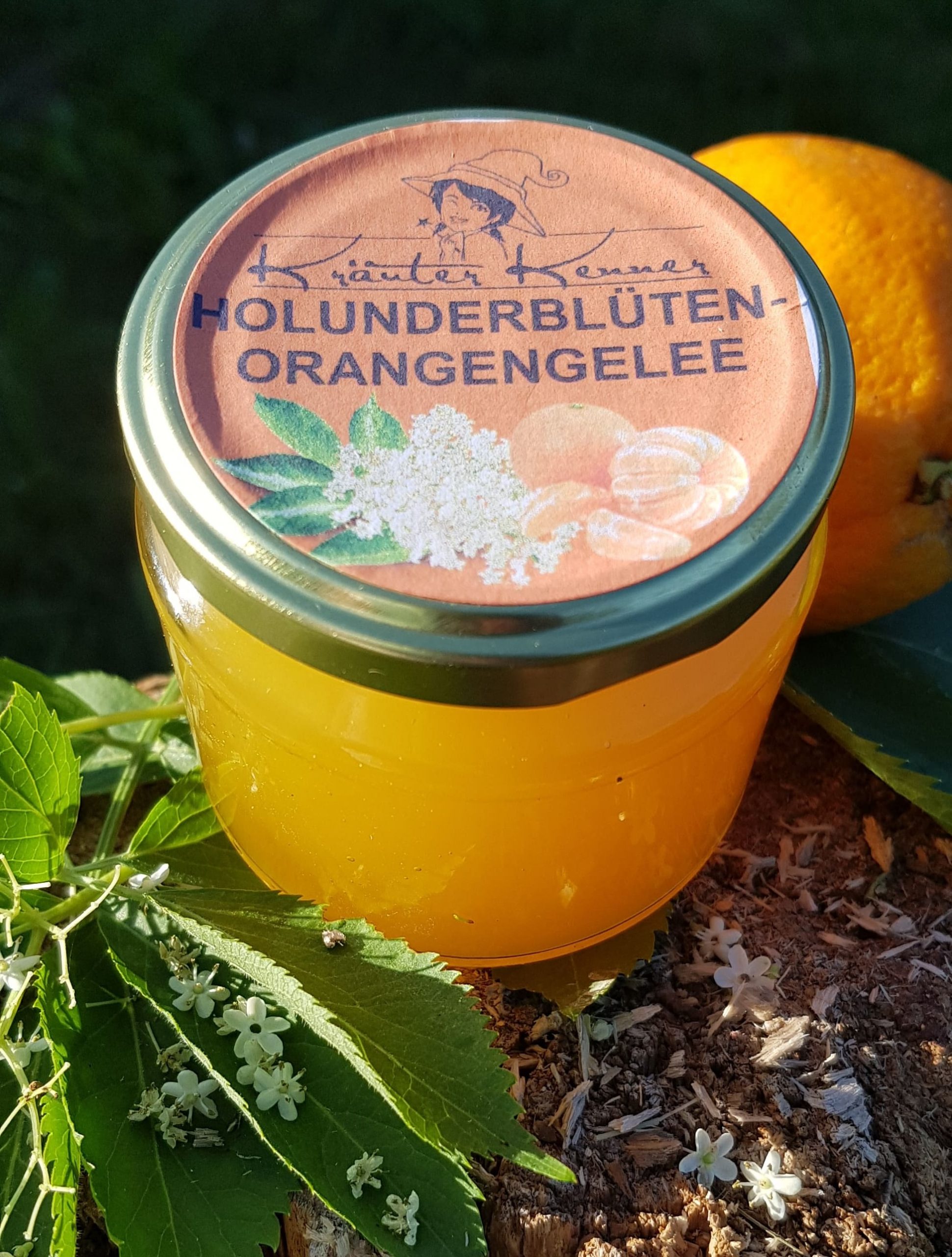 Holunderblüten-Orangengelee – Kräuter Kenner